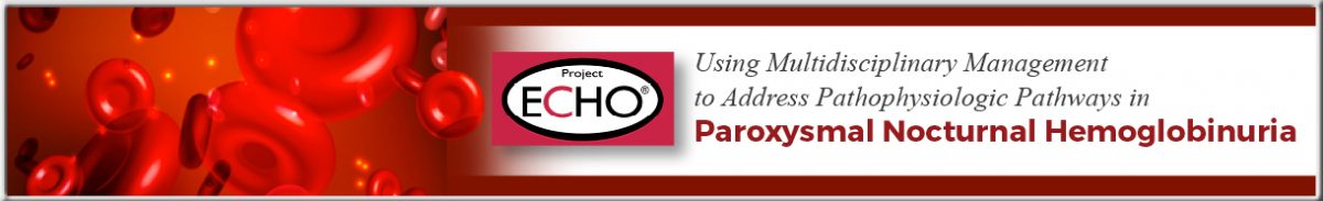 HM_48L_banner_footer