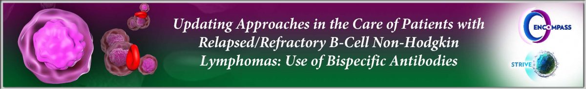 HM_79L_NHL_banner_footer.11.12_Page_1