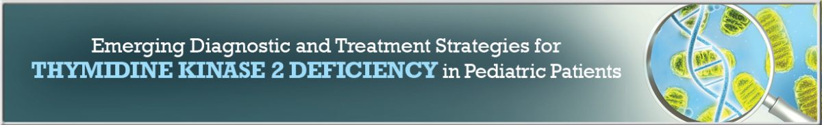 NE_88L_banner_footer