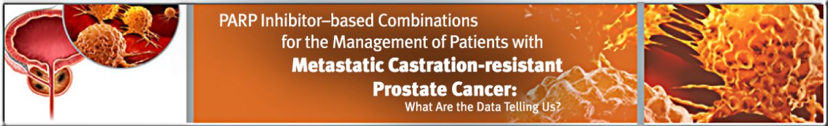 ON_176L_banner_footer