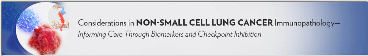 ON_201_02L_banner_footer