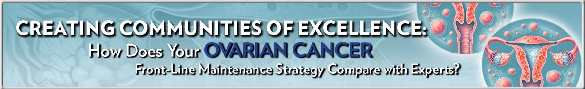 ON_311_banner_footer_Page_1