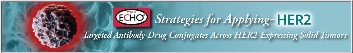 ON_33L_banner_footer_final